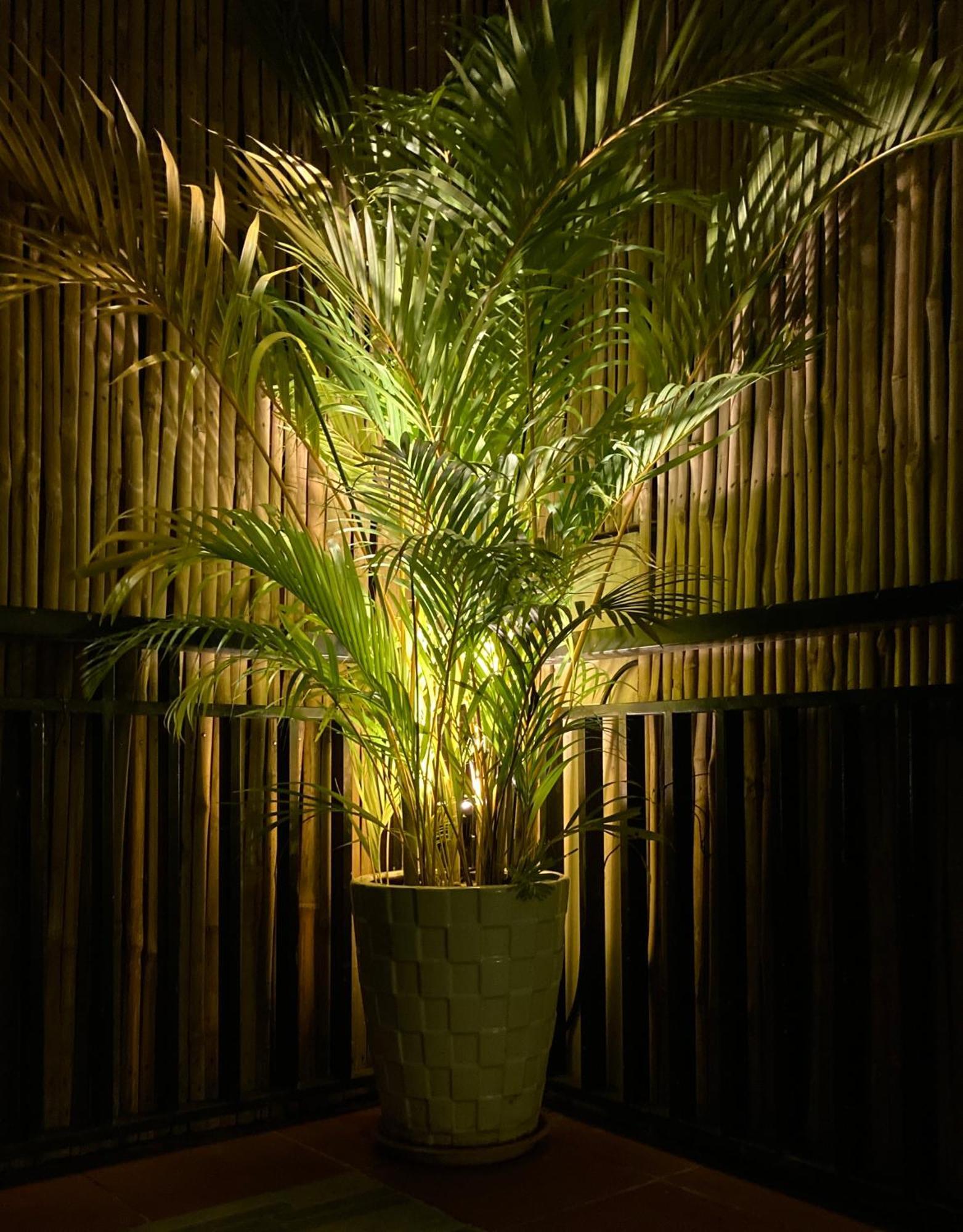 Lotus Haven Villa Siem Reap Bagian luar foto