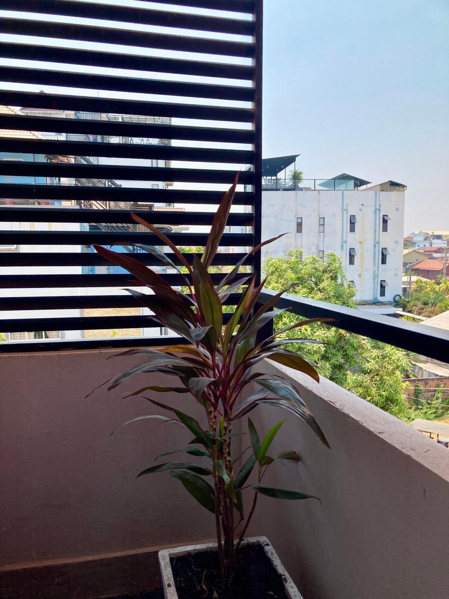 Lotus Haven Villa Siem Reap Bagian luar foto